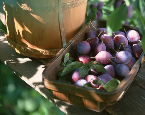 美容編輯不會告訴你 她們每天都會做這些“小動作”！